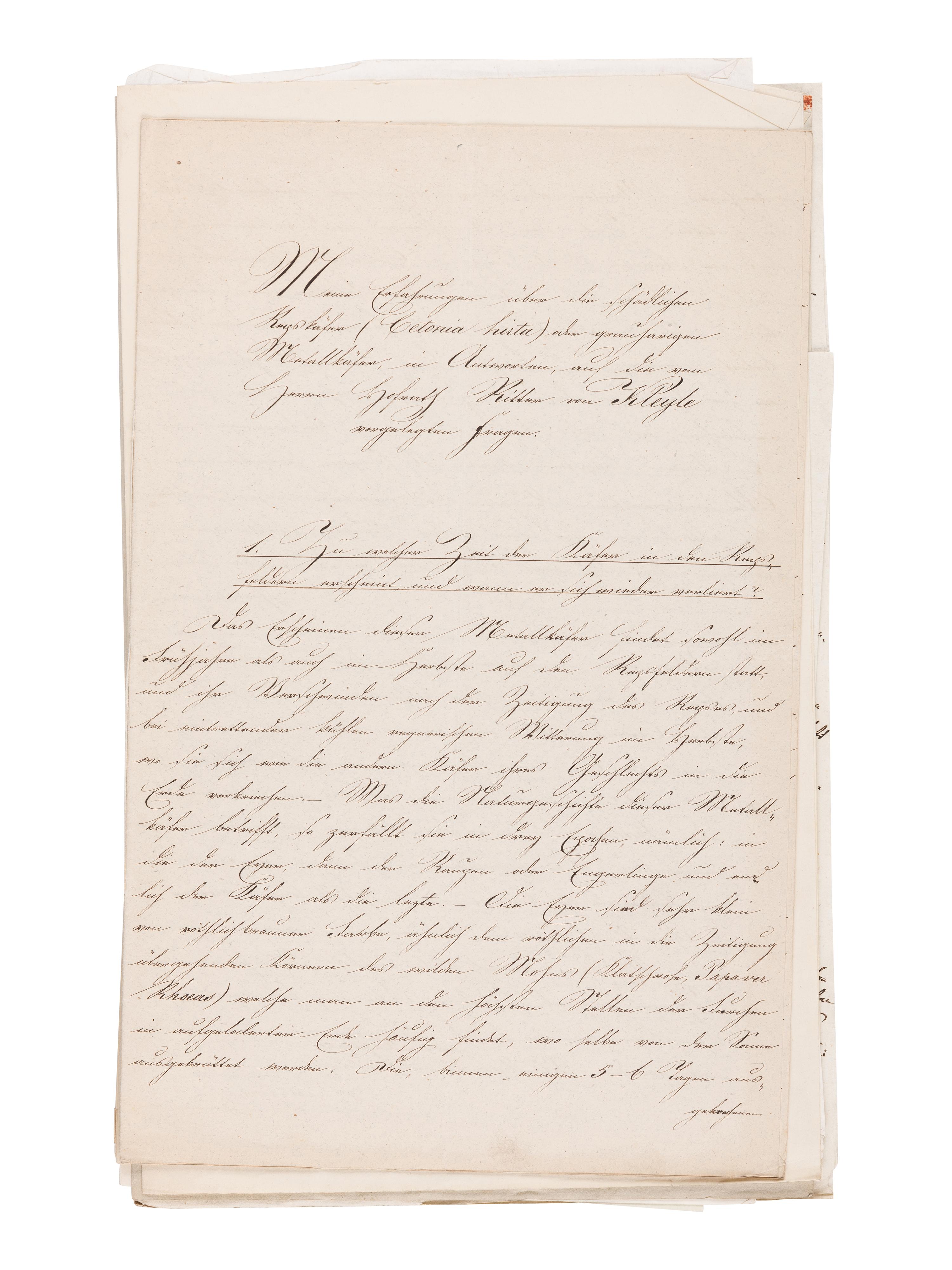 [MANUSCRIPT]. KOLLAR, Vincenz (1797-1860). "Abbildung und Beschreibung schädlicher Insecten. Ms. mit aquarellierten Handzeichnungen." [Vienna, ca 1839-1847].