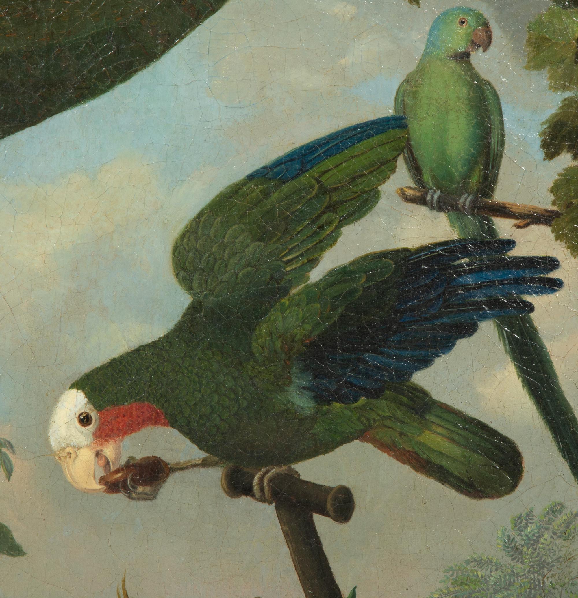 Parrots, Squirrel and Fruit on a Stone Ledge with Draped Curtain, an Extensive Landscape Beyond