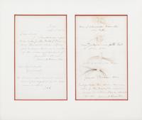 (RELIC) FOUNDING FATHERS. Locks of hair of Washington, Hamilton, Jackson and Talleyrand. w/letter of pres. fr. James Hamilton, 1865.