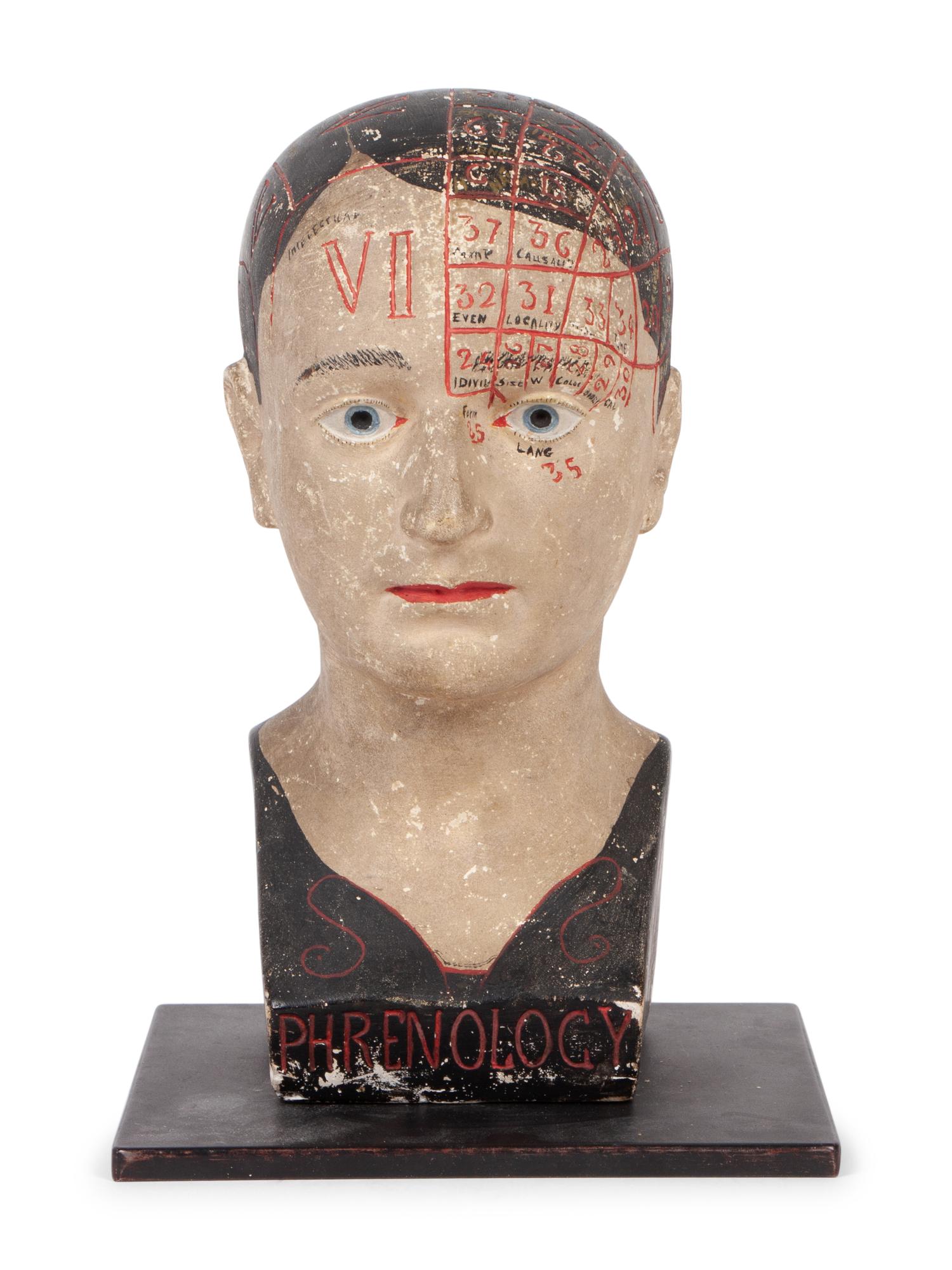 A Chalkware Phrenology Head