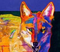 Poised Coyote