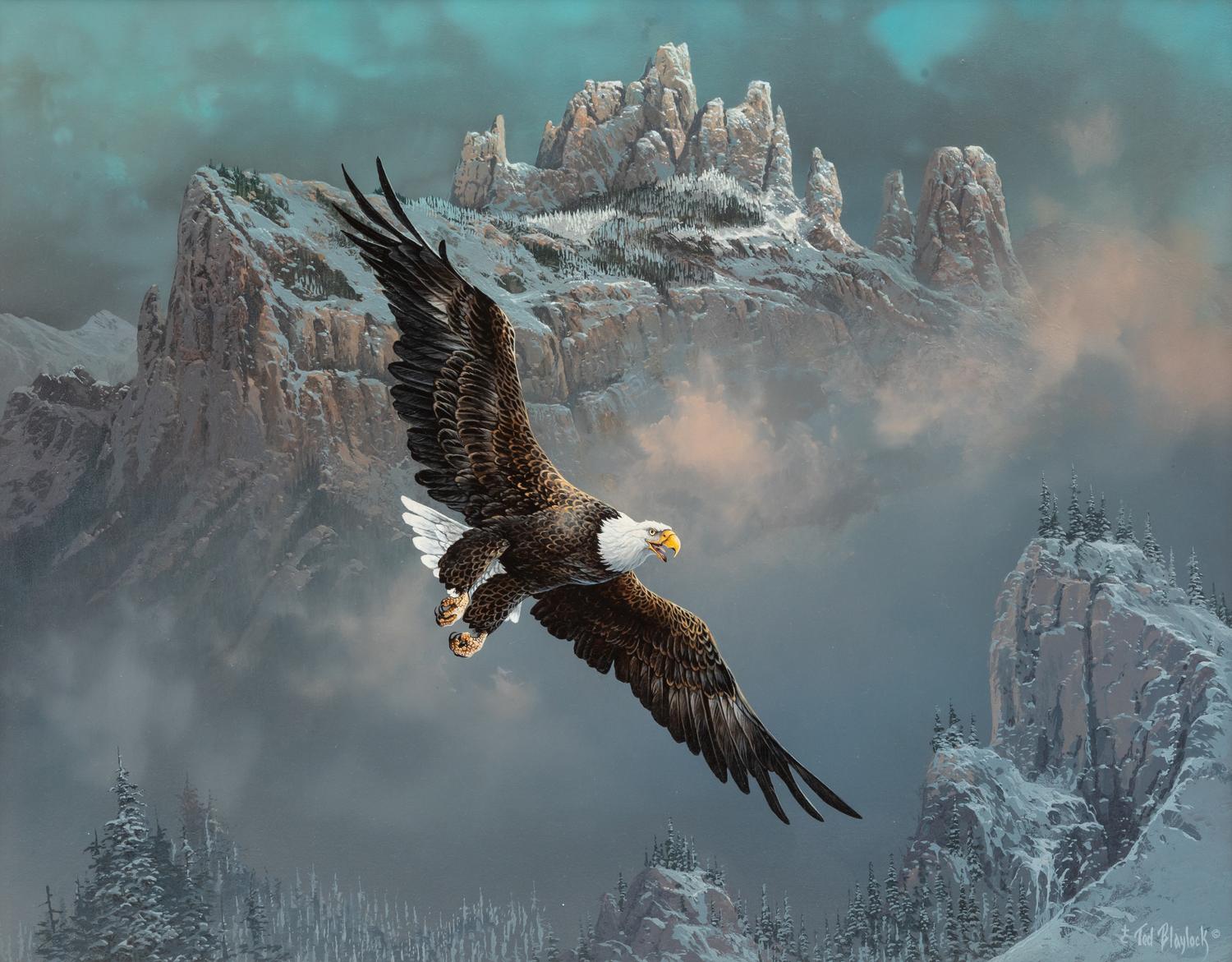 Castle Rock Raptor