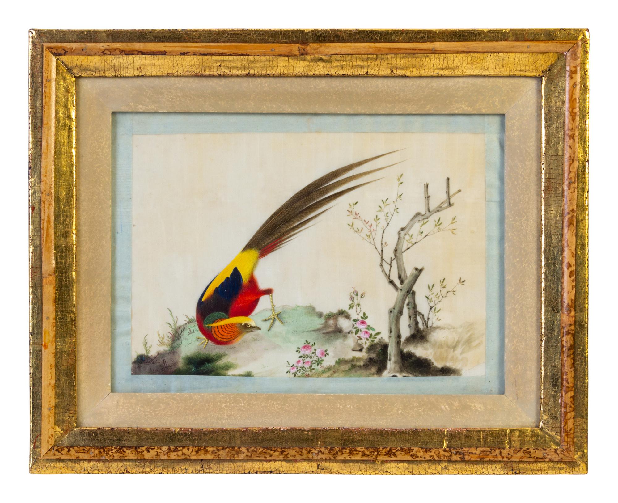 Seven Chinese Export Ornithological Scenes on Pith