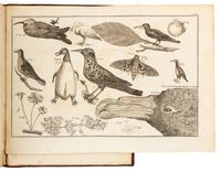 PERNETY, Antoine Joseph (1716-1796). The History of a Voyage to the Malouine (or Falkland) Islands. London, 1771.