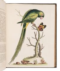 [NATURAL HISTORY]. EDWARDS, George (1694-1773). A Natural History of Uncommon Birds ... London: for the author, [1743]-1751 [but ca 1776]. [ With :] Gleanings of Natural History ....London: for the Author, 1758-1764.