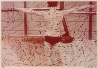 Video Drawing: Swimming Series