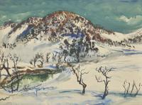The Hill