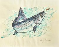 [Cheloniidae Press] Bodio, Stephen, and Ted Williams. Atlantic Salmon Salmo Salar