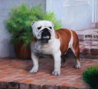 Three Working of Art depicting Bulldogs Largest: 16 3/4 x 19 inches.