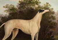 Greyhound in a Landscape