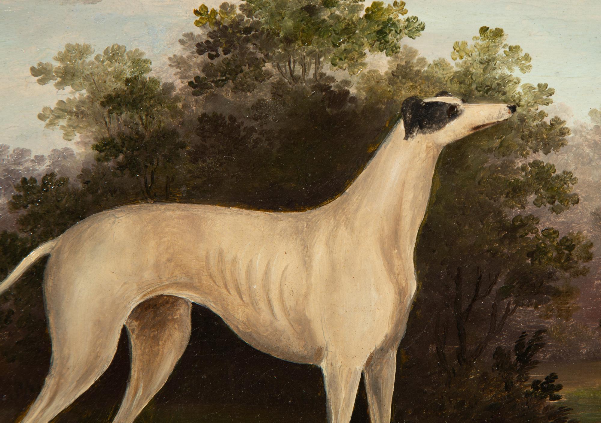 Greyhound in a Landscape