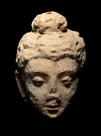 Five Gandharan Fragmentary Stucco Heads