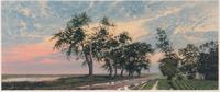 James Winn (American, b. 1949) — Silver Maples: No. 2
