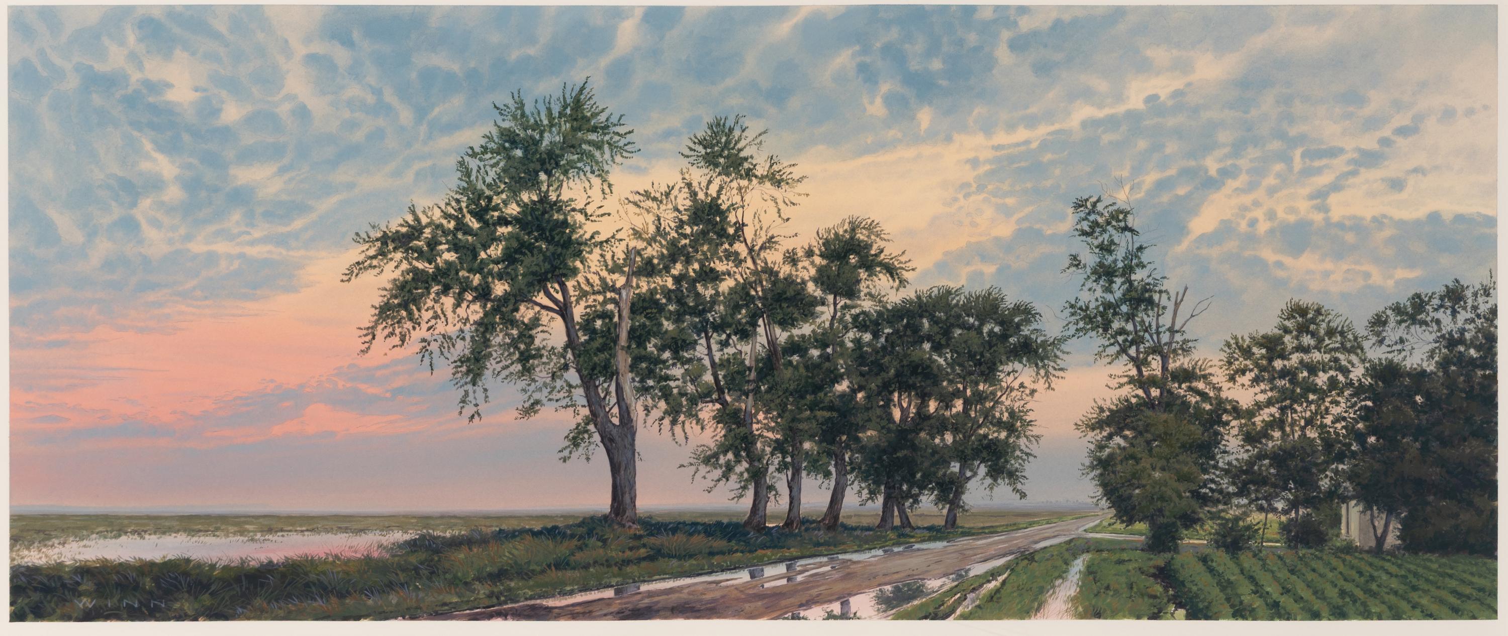 James Winn (American, b. 1949) — Silver Maples: No. 2
