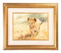 Lion Cub