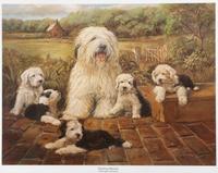 A Print depicting Old English Sheepdogs 16 3/4 x 21 inches. — After Louise Lopina