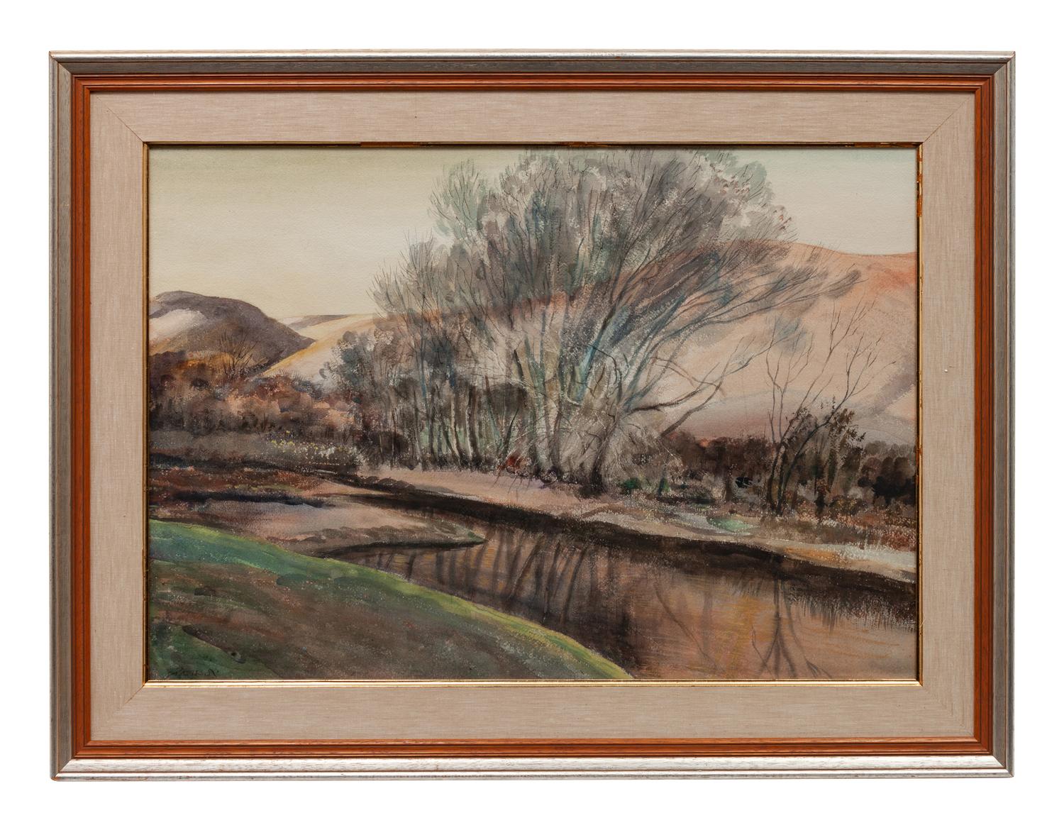 Mountain Stream