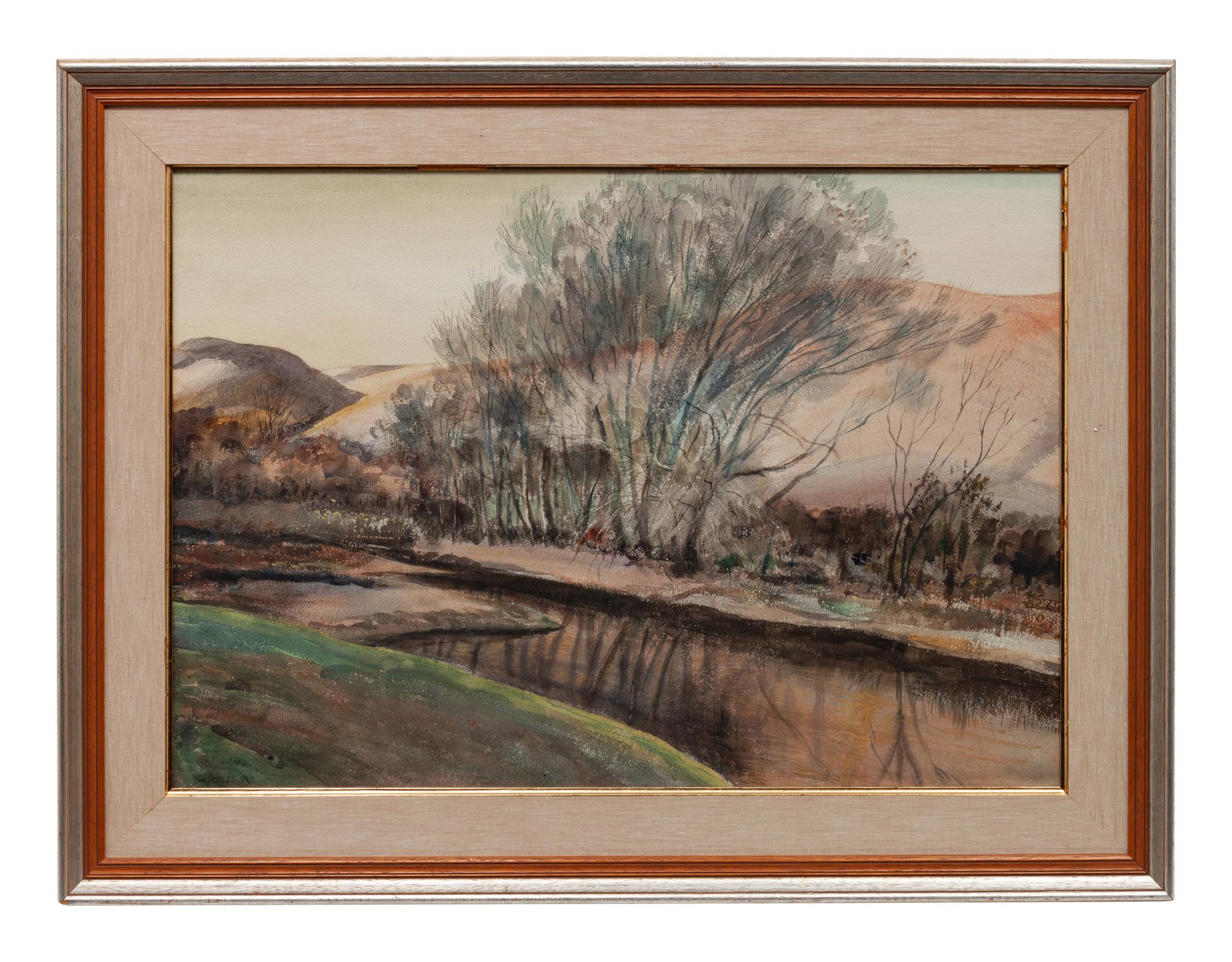 Mountain Stream