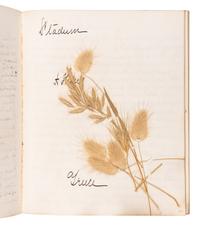 [SPECIMEN ALBUMS]. A group of 3 specimen albums with samples collected from The Holy Land, Greece and Southern Italy Great Britain, Denmark, Switzerland, Germany and France; and Egypt and Palestine. Ca 1890s.