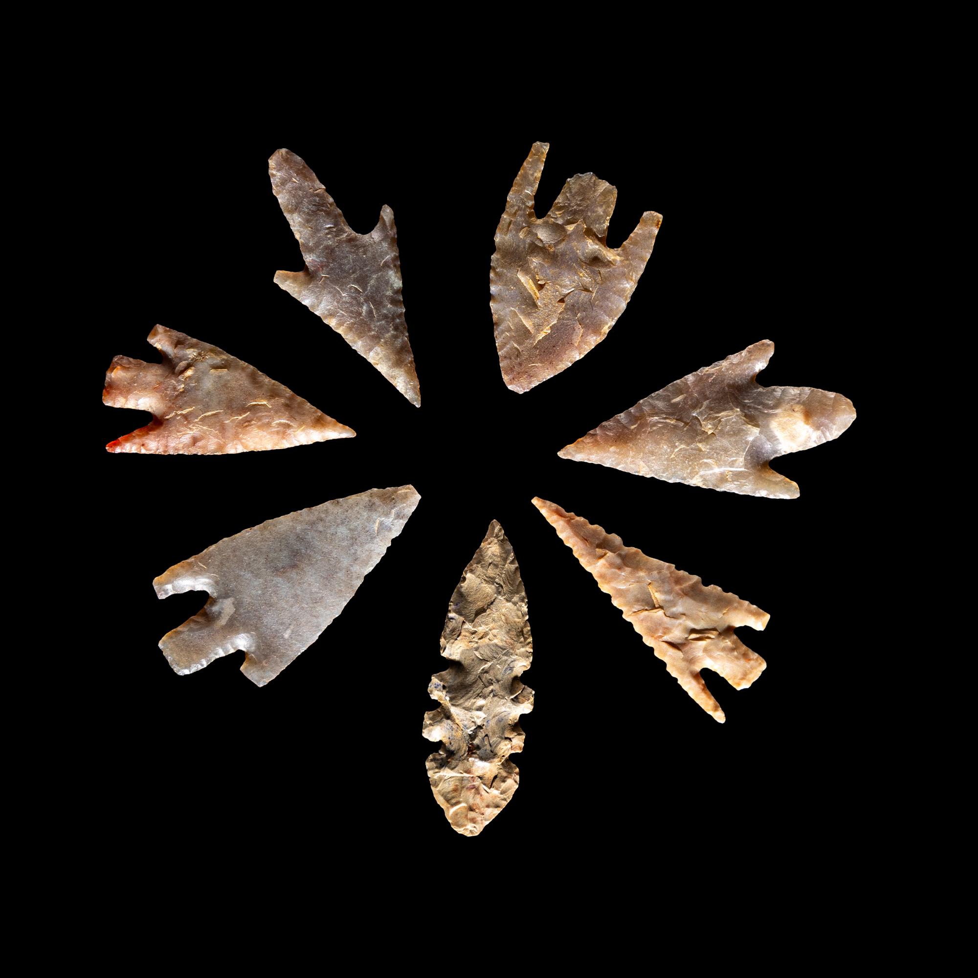 101 Neolithic Flint Points