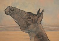 Man and Horse