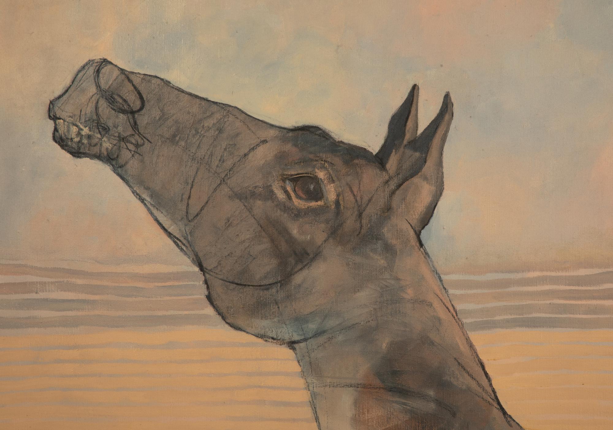 Man and Horse