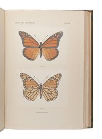 DENTON, Sherman Foote (1856-1937). As Nature Shows Them: Moths and Butterflies East of the Rocky Mountains. Boston: Bardlee Whidden, 1900.