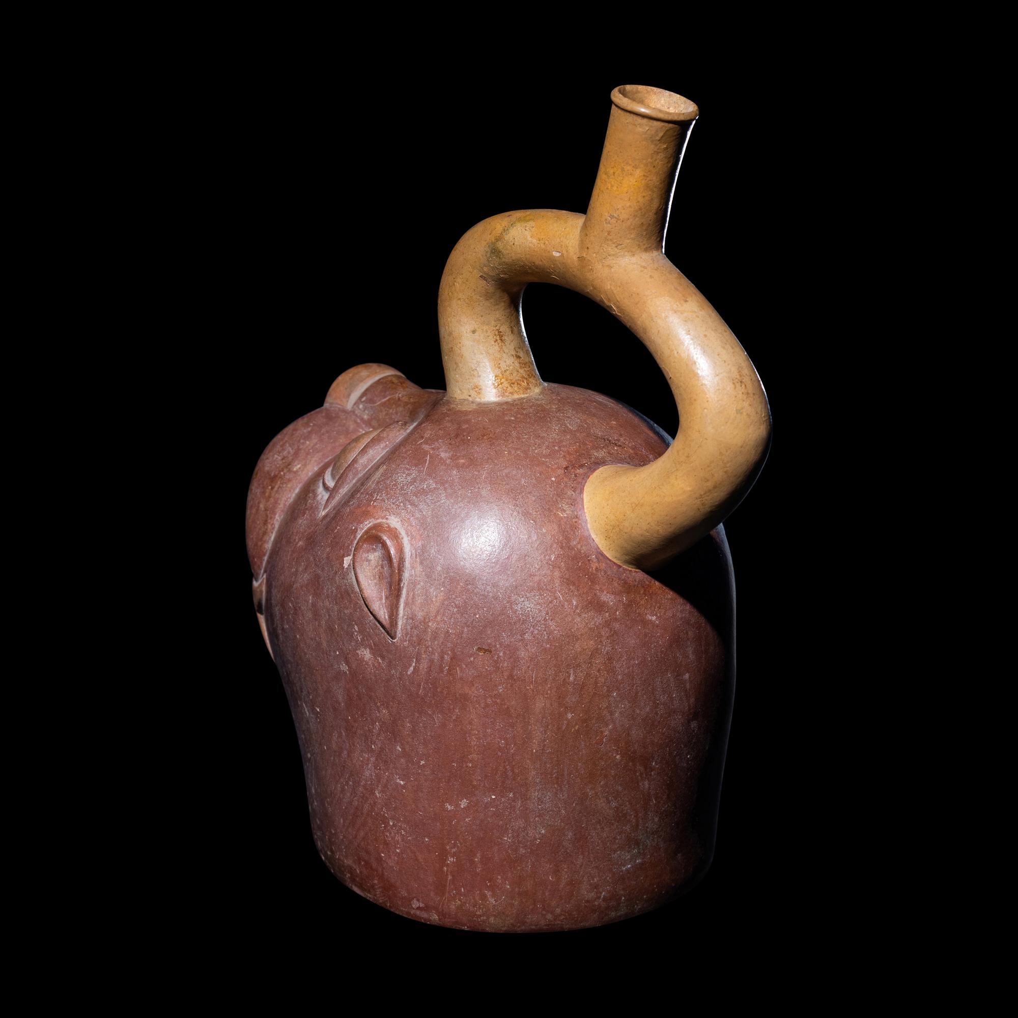 A Moche Sea Lion Effigy Vessel