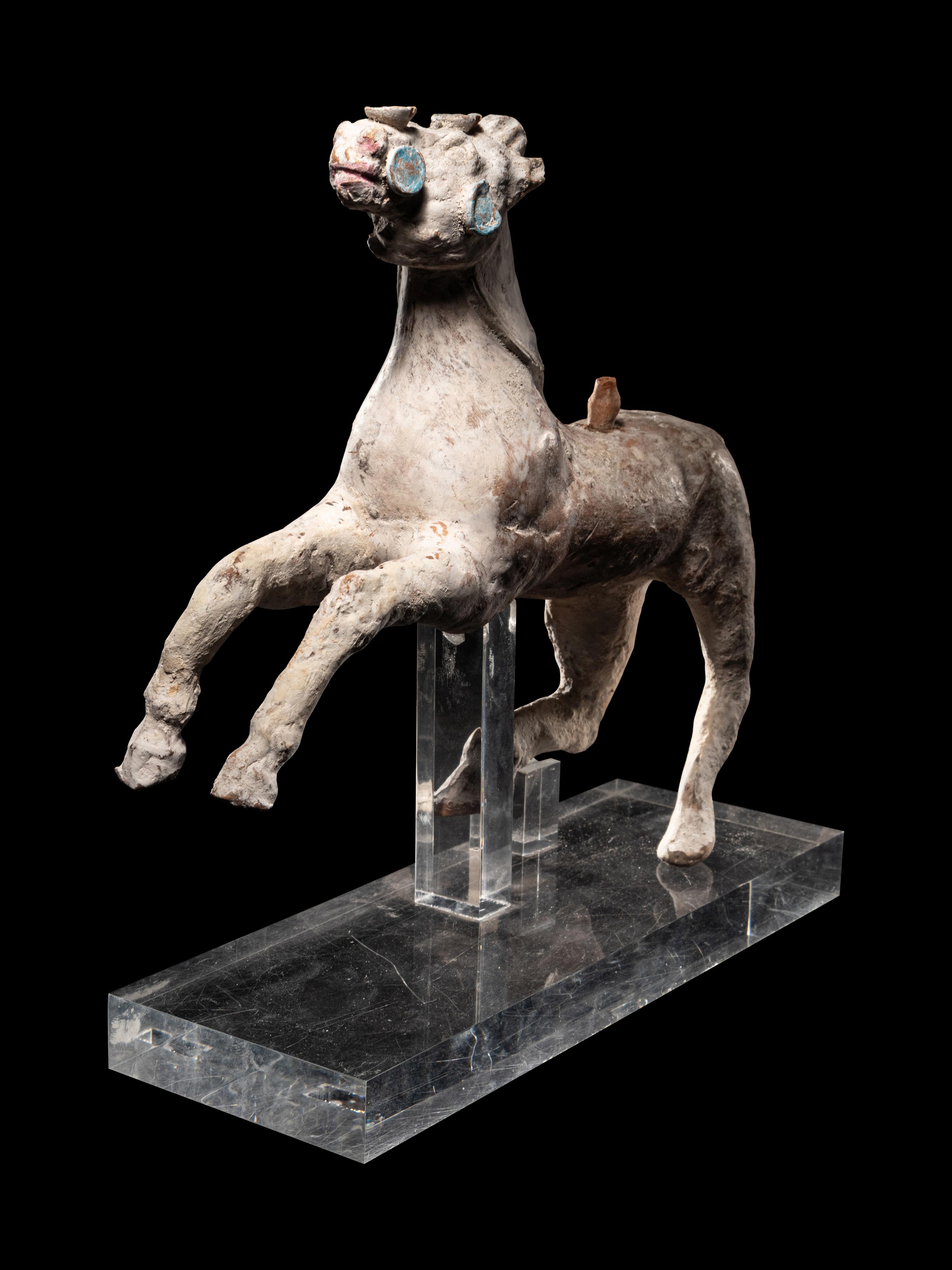 A Canosan Terracotta Horse