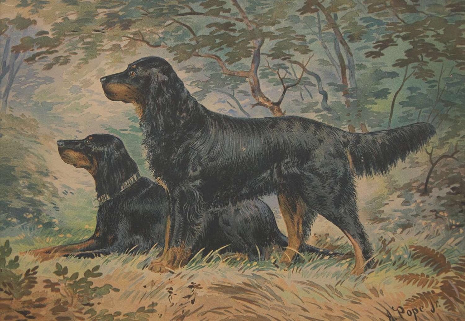 Alexander Pope (American, 1849–1924) - Untitled (Pair of Setters)