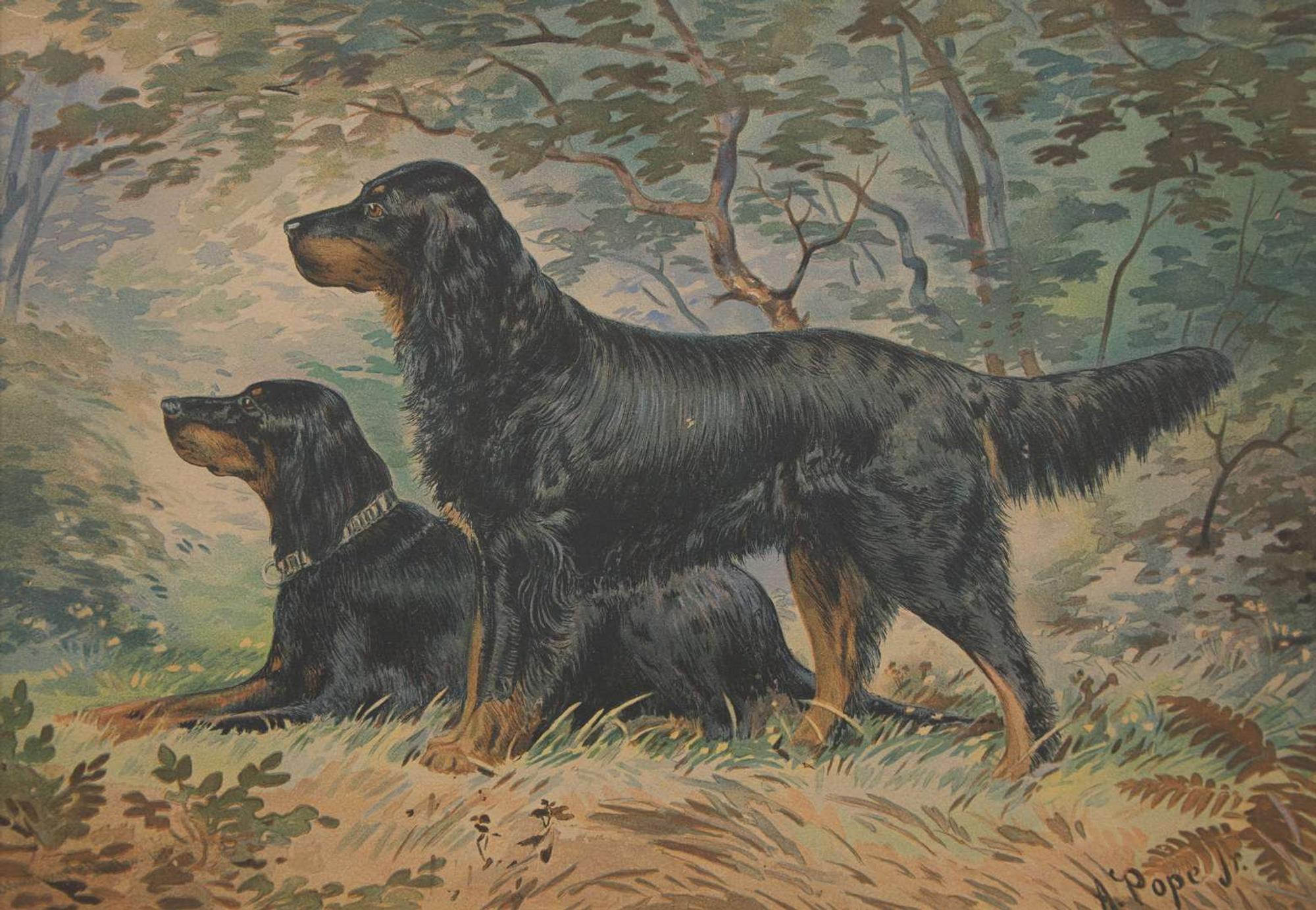 Alexander Pope (American, 1849–1924) - Untitled (Pair of Setters)