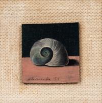 Shell