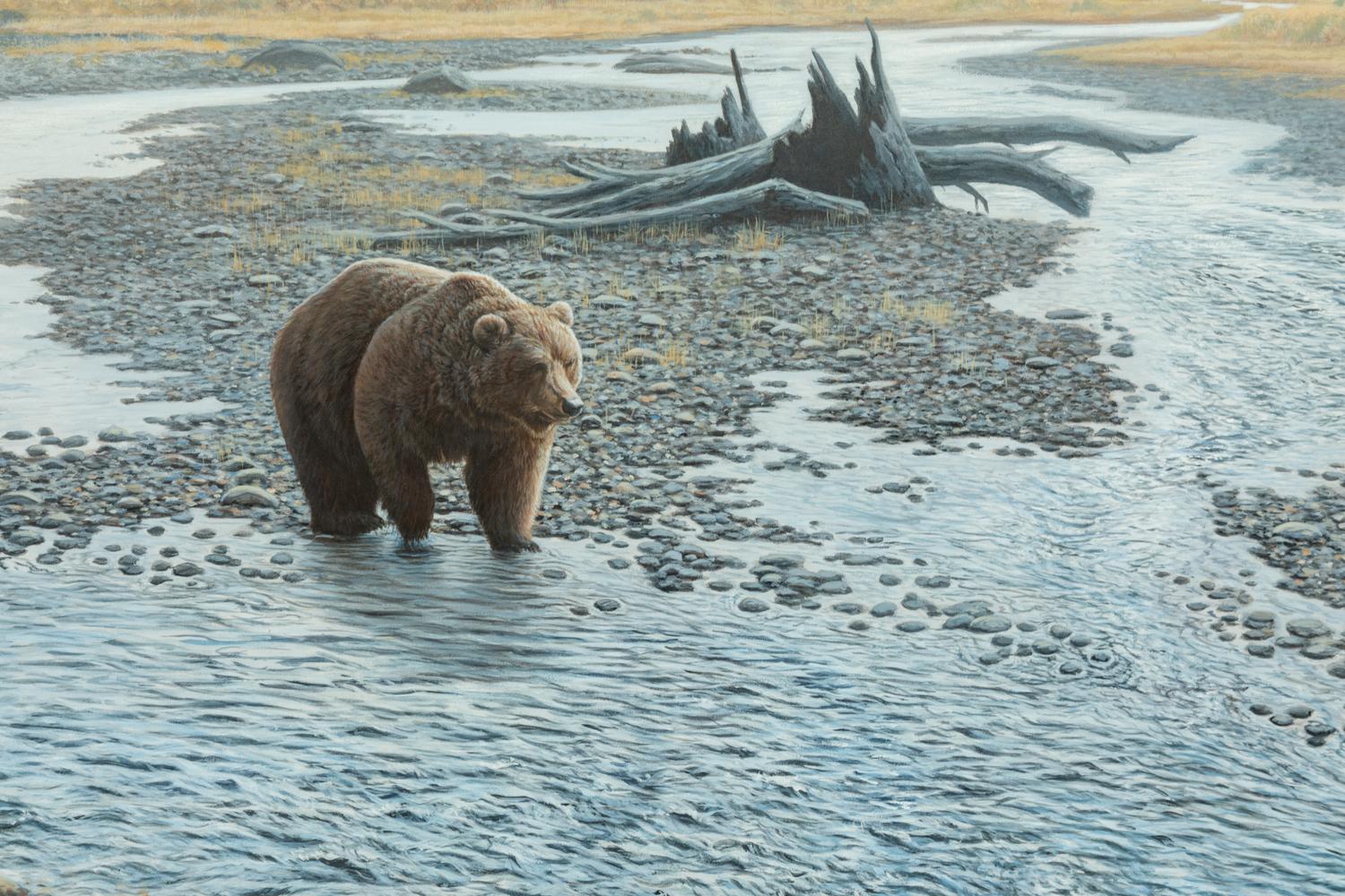 Wilderness Walk Grizzly , 1997