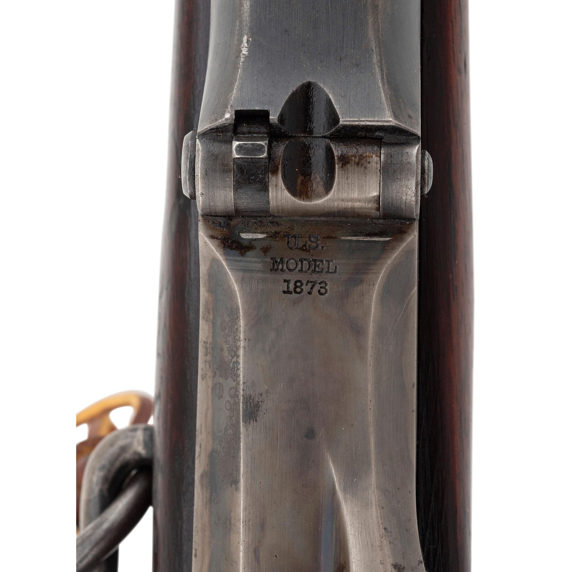 Springfield Model 1877 Carbine