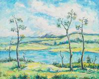 Sparse Trees Along River's Edge