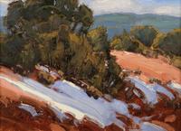 Sunny Bank - Winter, NM