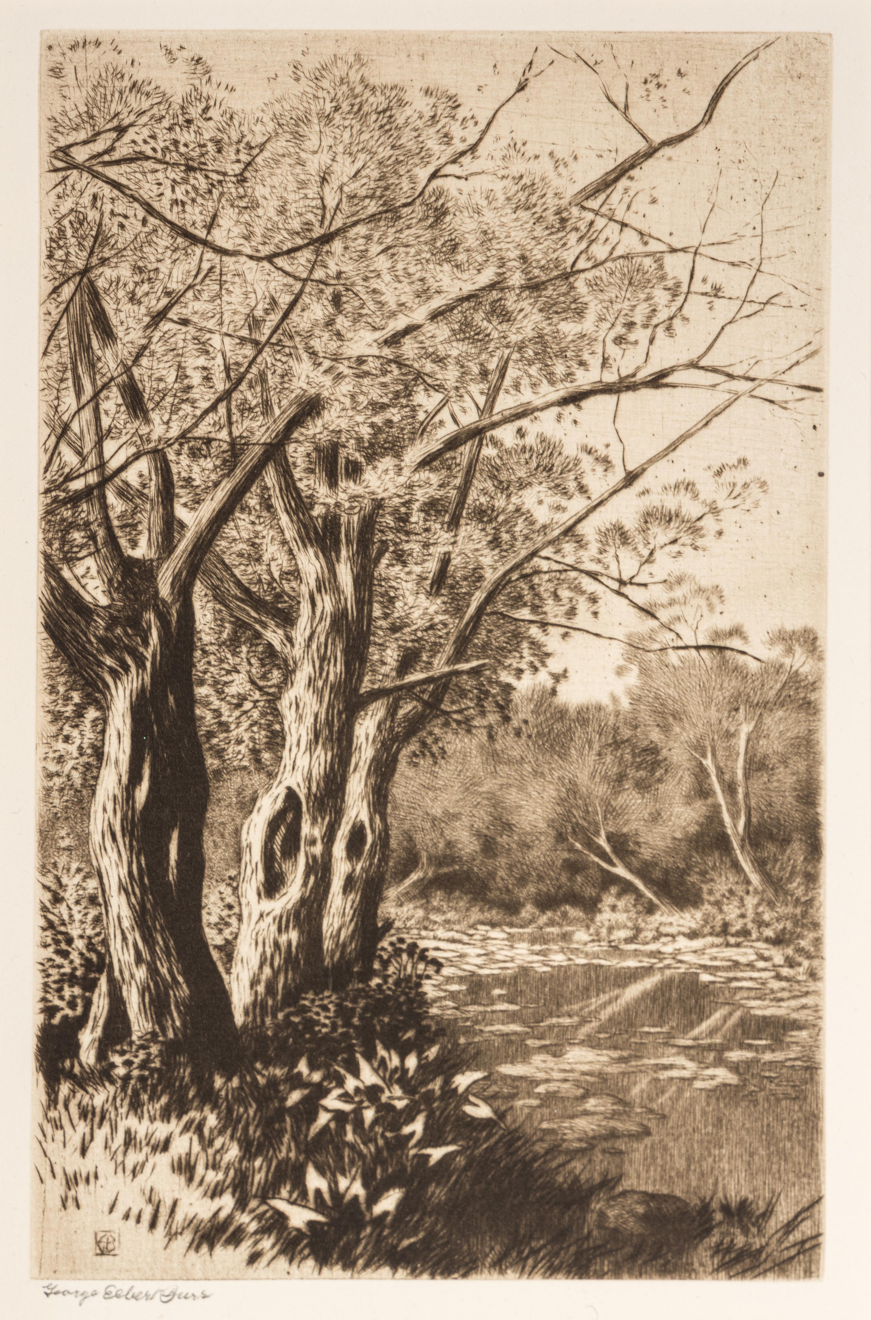 Willows