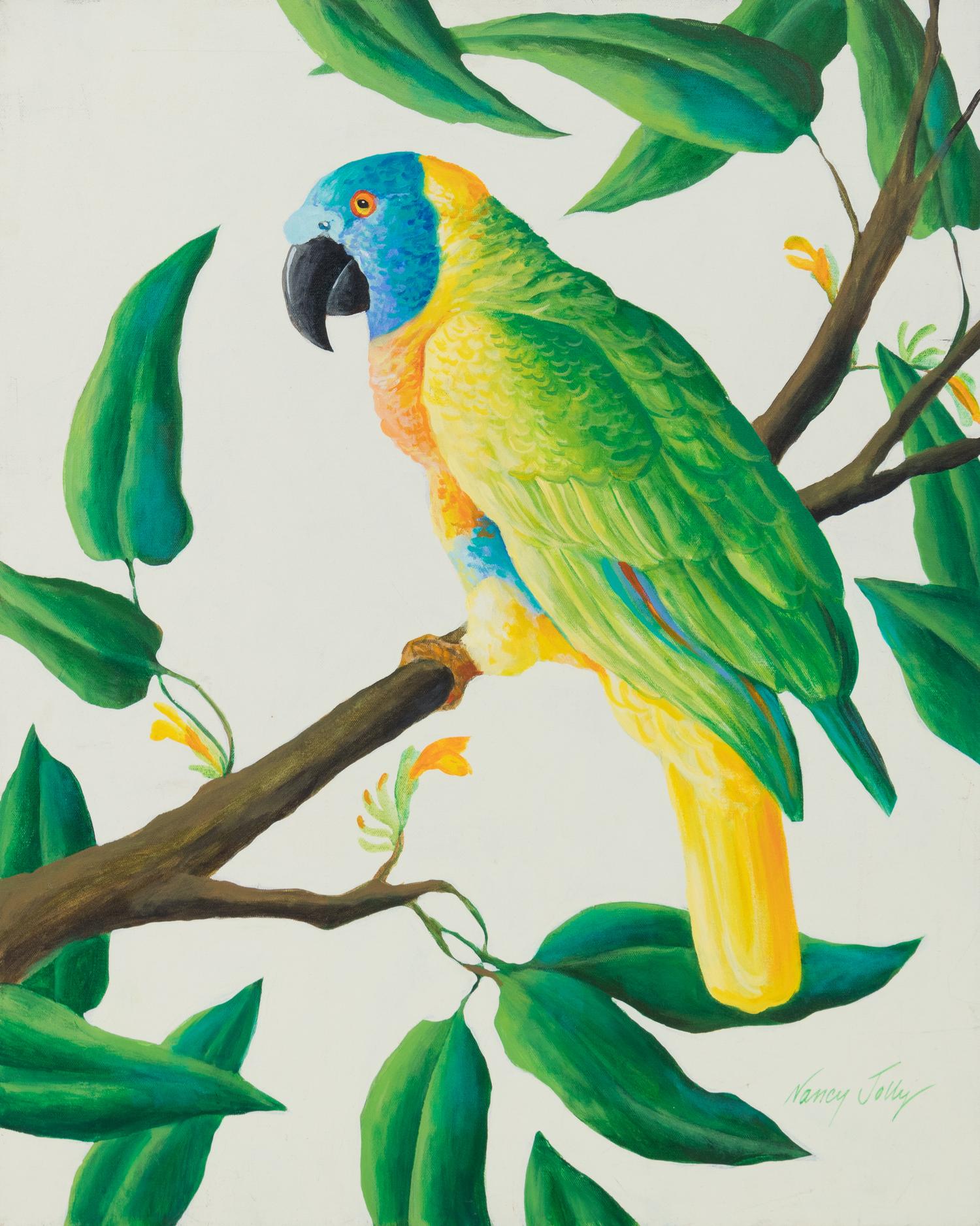 Amazon Parrot
