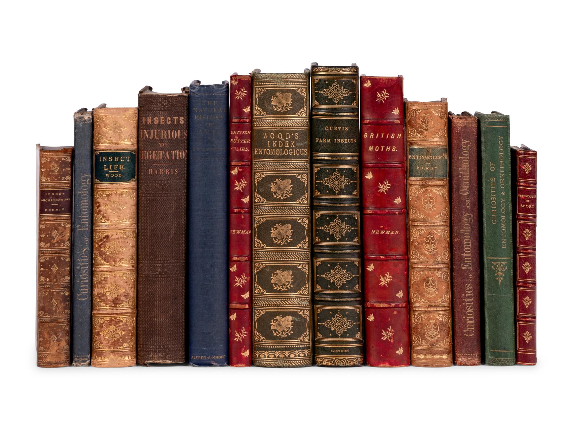 [NATURAL HISTORY - ENTOMOLOGY]. A group of 7 works, including: