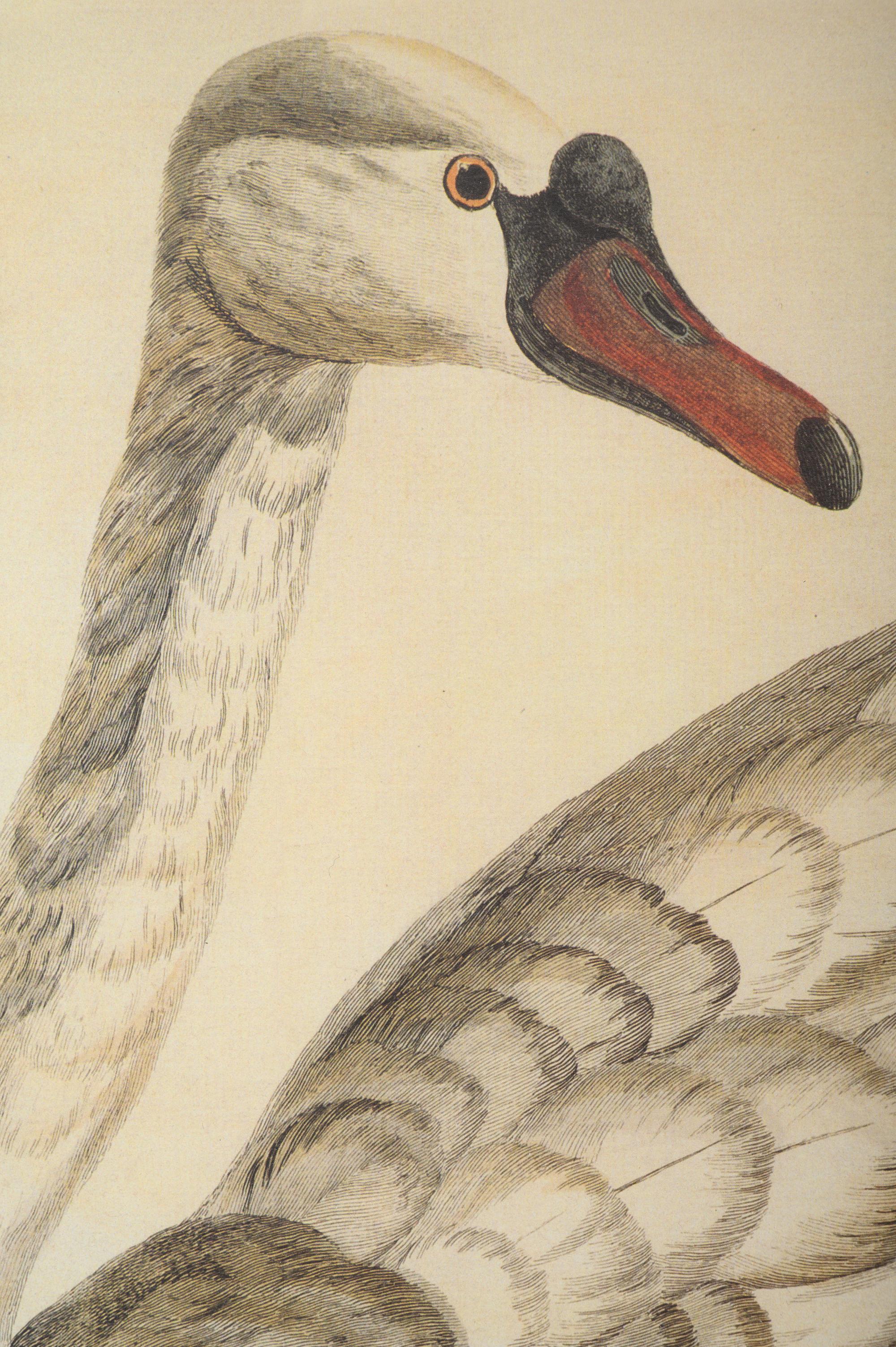 Peter Mazell (Irish, 1733-1808)