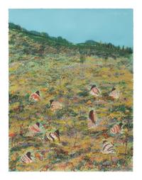 A Day for Wildflowers