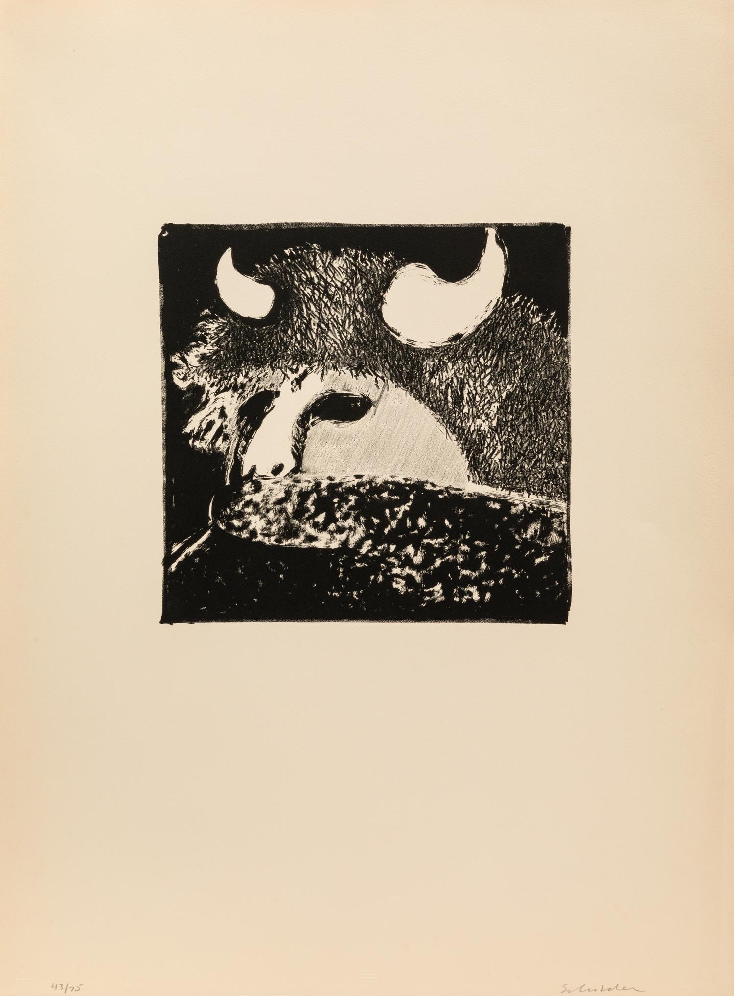 Indians Forever , Complete Portfolio of Eight Lithographs: