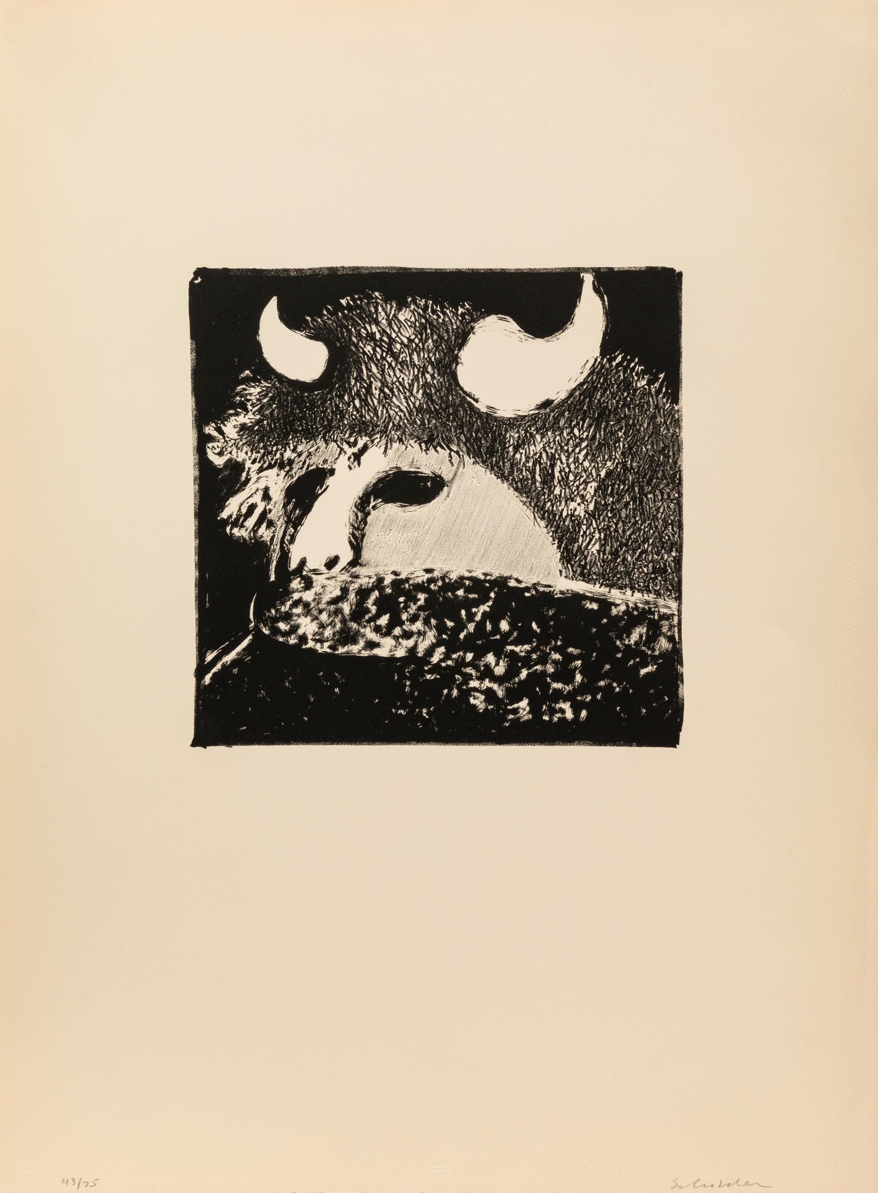 Indians Forever , Complete Portfolio of Eight Lithographs: