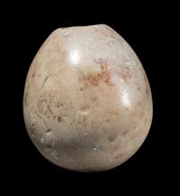 An Egyptian Limestone Mace Head