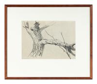 Study for Tree (For Winter #85) , 1963