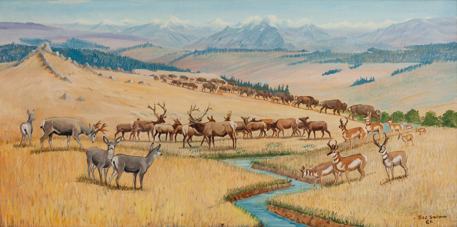 God's Cattle