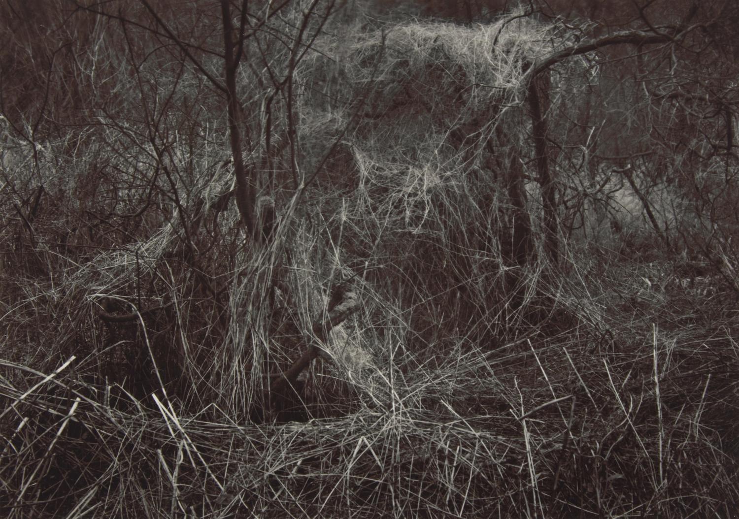 A Quality of Dancing, Millersdale, Derbyshire, England, 1983 and Ceremonial Veil, Nesscliffe, Shropshire, England, 1976 (two works)