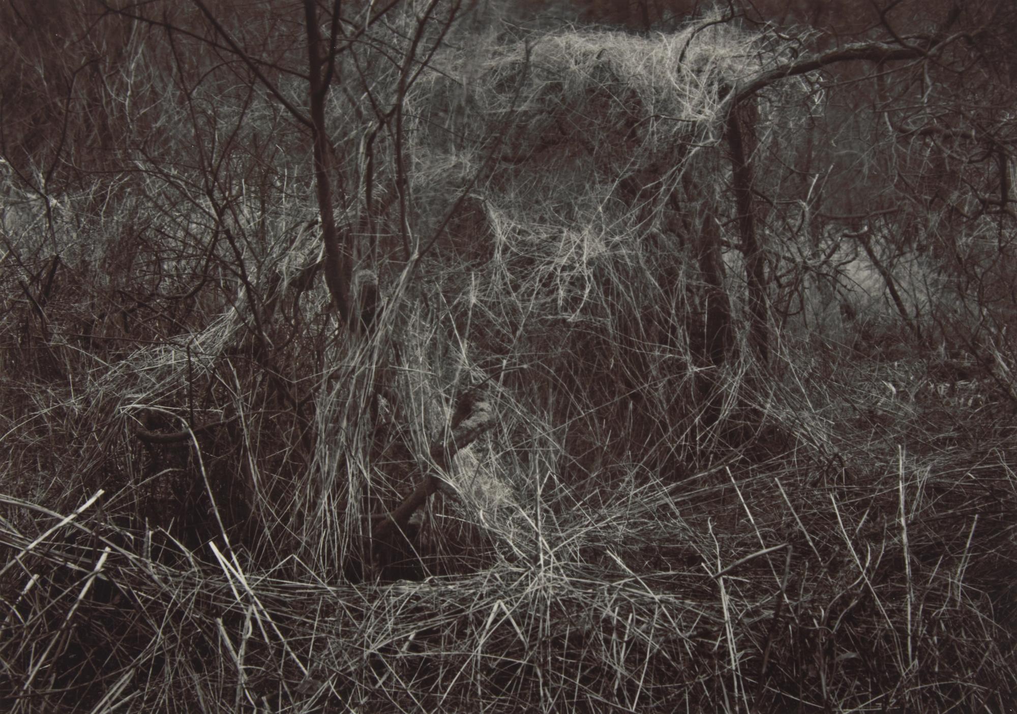 A Quality of Dancing, Millersdale, Derbyshire, England, 1983 and Ceremonial Veil, Nesscliffe, Shropshire, England, 1976 (two works)