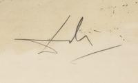 Untitled (Bullfight #3)