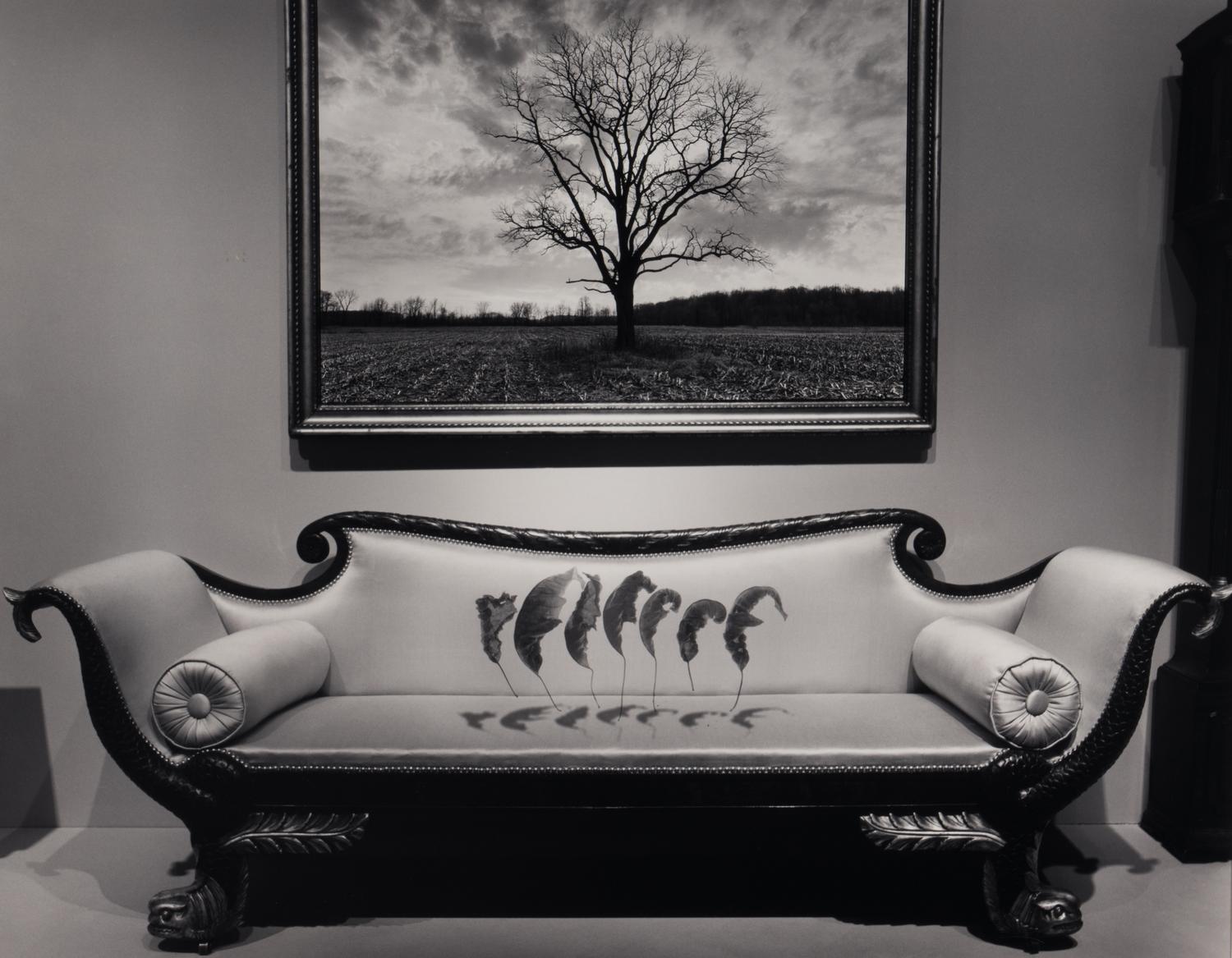 Untitled (Leaves Over Couch), 1987